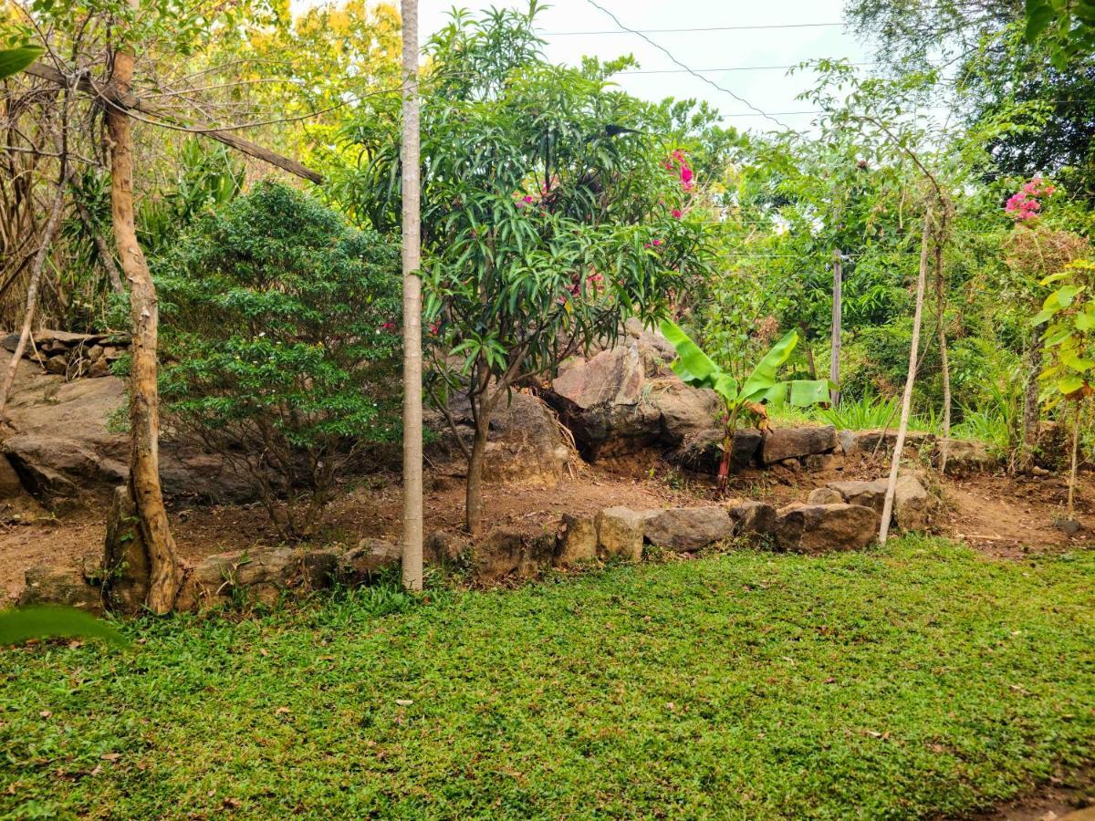 Woodholic Homestay Sigiriya Bagian luar foto