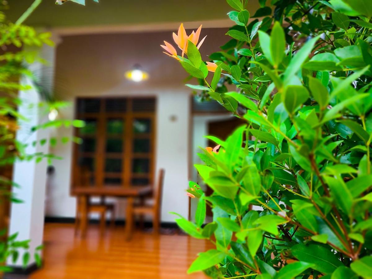 Woodholic Homestay Sigiriya Bagian luar foto