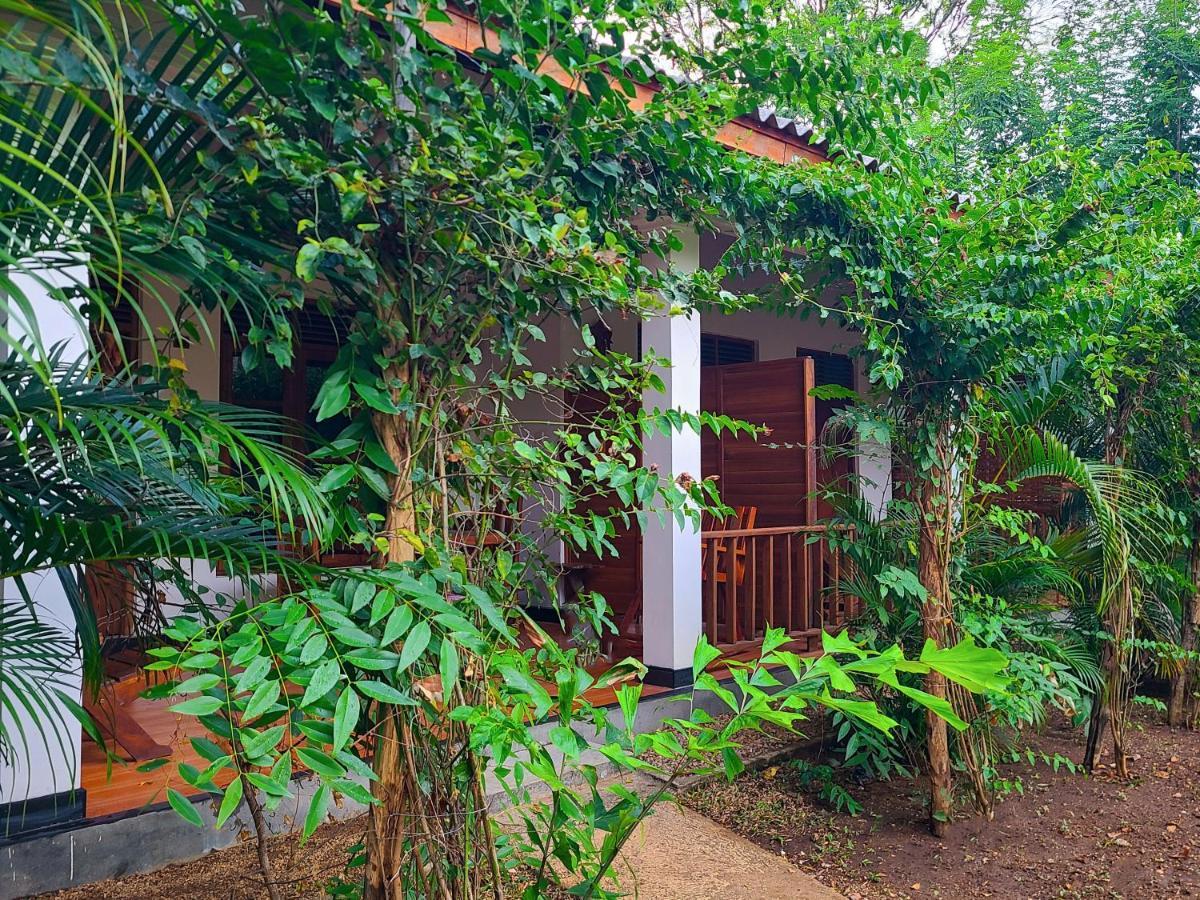 Woodholic Homestay Sigiriya Bagian luar foto