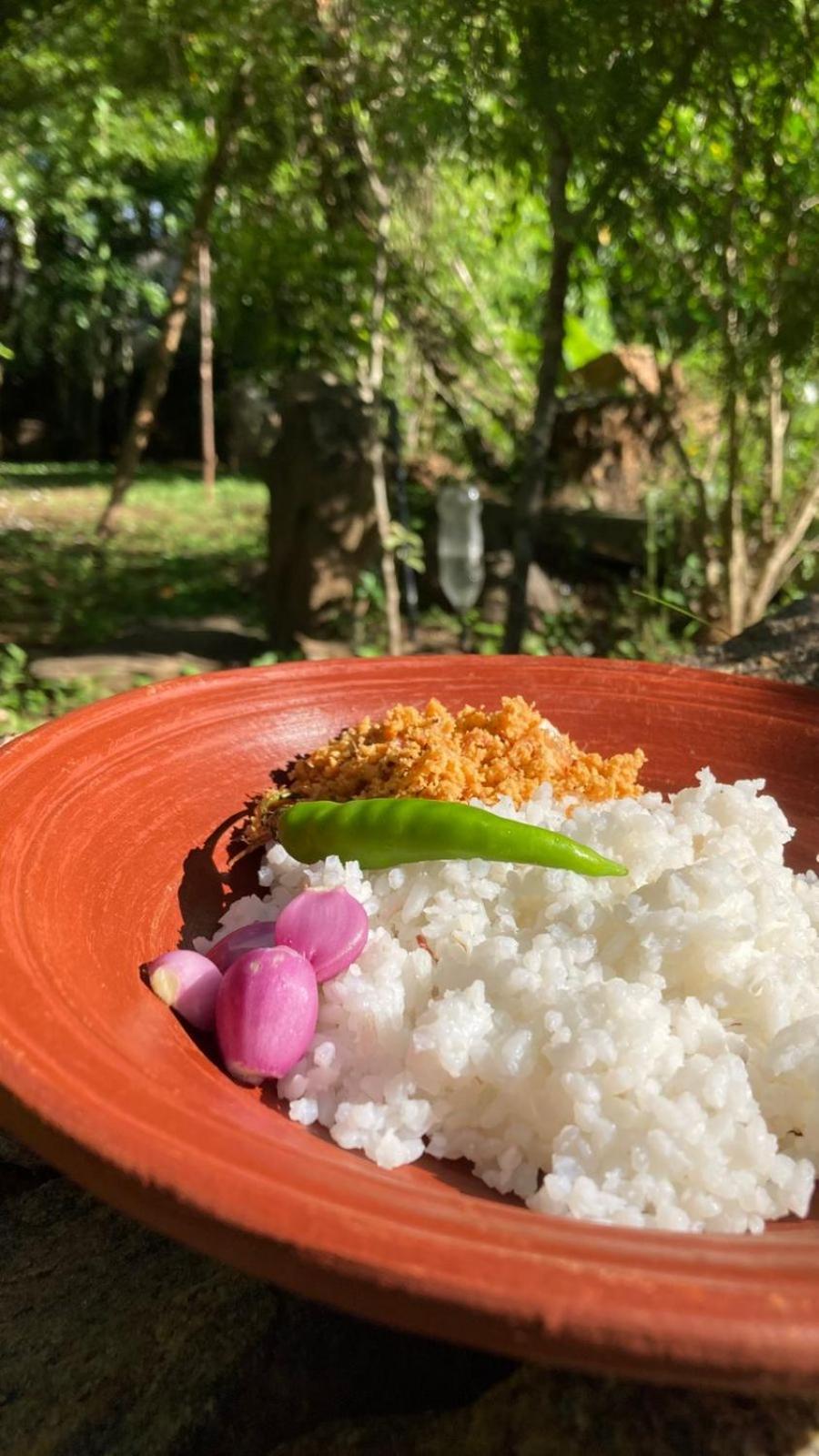 Woodholic Homestay Sigiriya Bagian luar foto